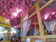 -椰贝原味椰子鸡(高新万达店)