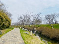 -羊山湖公园