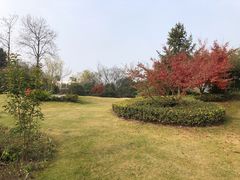 -桃花岛景观公园