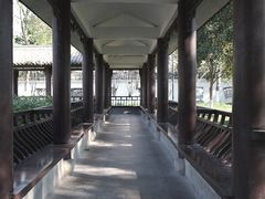 -墨池公园