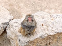 -太原动物园