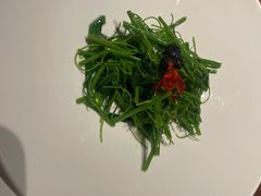 -觀芷隐轩