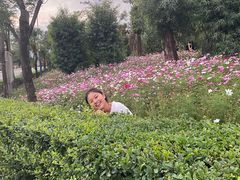 -鸿火锅(航天路店)