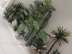 -王朝大酒店徐汇店-地面停车场