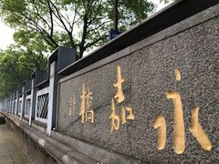 -嘉定紫藤园