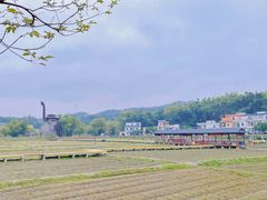 -红山村