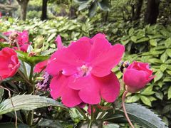 -徐家汇源景区-衡山公园