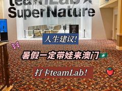 -澳门威尼斯人综合度假区