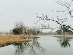 -良渚古城遗址公园