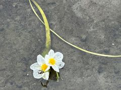-大理洱海