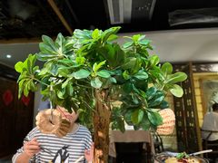 核桃包-云来居素食馆(南山店)