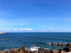 -广东惠东海龟国家级自然保护区