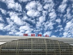 -深圳坪山站