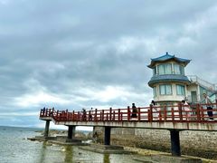 -养马岛旅游度假区