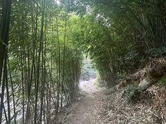 -井空里大峡谷