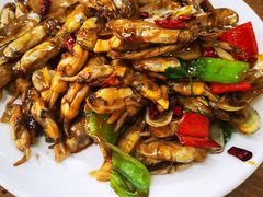 -渔家乐小海鲜(皇姑店)