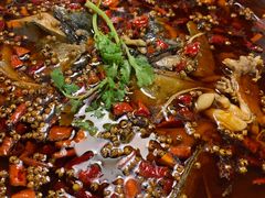 -味之绝热血美蛙鱼火锅(中坝店)