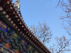 -护国法轮寺