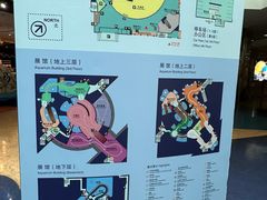 -上海海洋水族馆