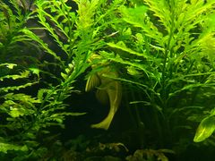 -上海海洋水族馆