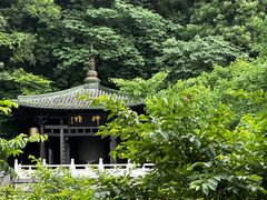 -紫阳古街