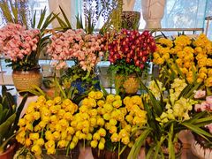 -双季花艺园艺市场(浦东店)