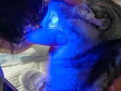 -美联众合动物医院·24h转诊中心
