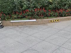 -锦龙国际酒店(天津奥体中心华苑地铁站店)