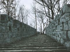 -塔云山