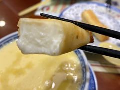 炸牛奶-捷信牛奶甜品世家(五道口店)