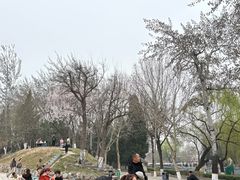 -保定市动物园