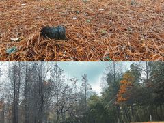 -南京市无想山景区