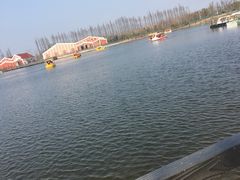 -上海长兴岛郊野公园