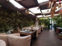 -慢丽江·云南野生菌土鸡锅(付家庄店)