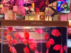 -龙记·香港茶餐厅(海上世界店)
