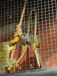 -Zoolung Zoolung动物主题公园(海信广场店)