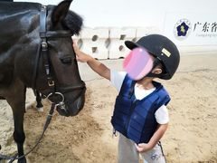 -李振强马术运动推广中心(南城店)