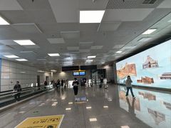 -郑州新郑国际机场-T2航站楼