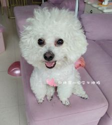 -Pink You美甲美睫纹绣定制中心