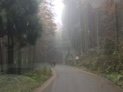 -山王坪喀斯特国家生态公园