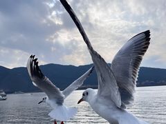 -海埂大坝