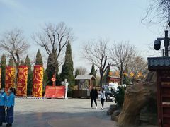 -大槐树寻根祭祖园