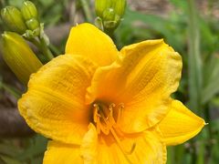 -丽泽山庄·生态怀柔菜·虹鳟鱼(红螺寺店)