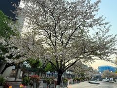 -杭州湖滨in77
