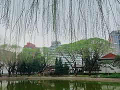 -团结湖公园