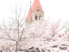 -青岛天主教堂(市南区)