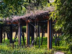 -徐家汇源景区-衡山公园