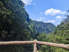 -碧峰峡风景区