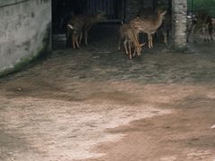 -台州府城(江南长城)