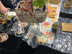 -上海汇之星奔驰4S店(浦东新店)